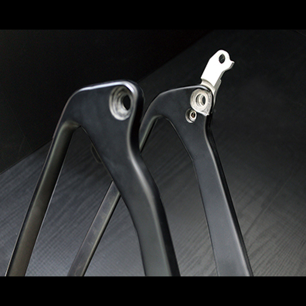 Rear Fork Protector